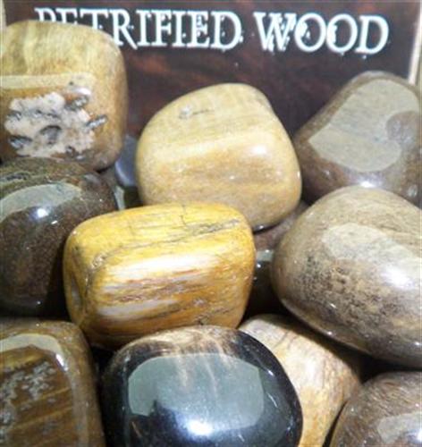 Lo Scarabeo Frstenat Tr - Petrified Wood