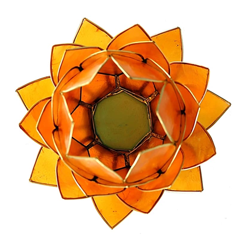 Regnbgsvvar Stor lotusblomma fr vrmeljus, orange