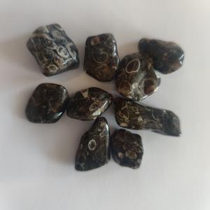 Mineralienfachhandel Turitella Agat - Turitella Agate