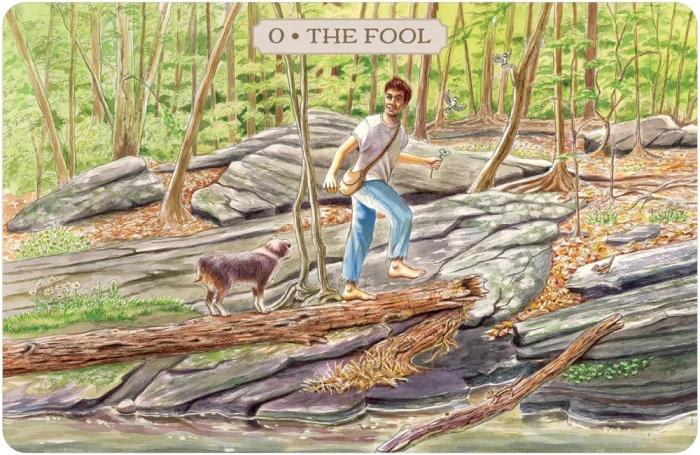 US Games Systems Pastoral Tarot, Set