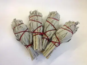 Regnbågsvävar Vit salvia i liten bunt