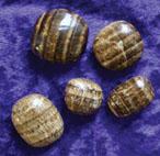 Mineralienfachhandel Aragonit - Aragonite
