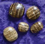 Mineralienfachhandel Aragonit - Aragonite