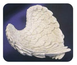 Regnbågsvävar Änglavingar