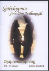 PIM Finn Din tvillingsjäl