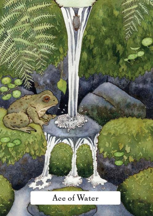 Hay House UK Ltd The Witches' Wisdom Tarot