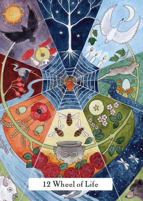 Hay House UK Ltd The Witches' Wisdom Tarot