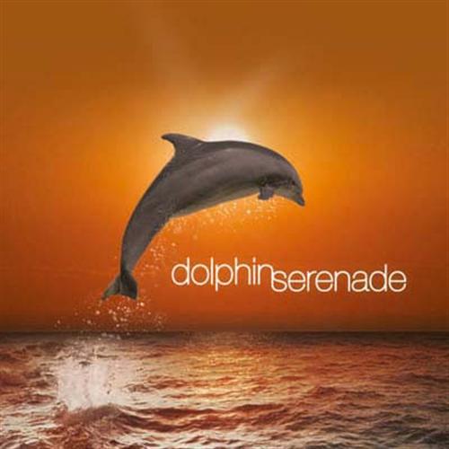 Regnbgsvvar Dolphins Serenade