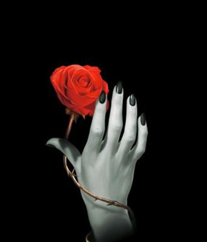 Lo Scarabeo Rose Hand, Anteckningsbok