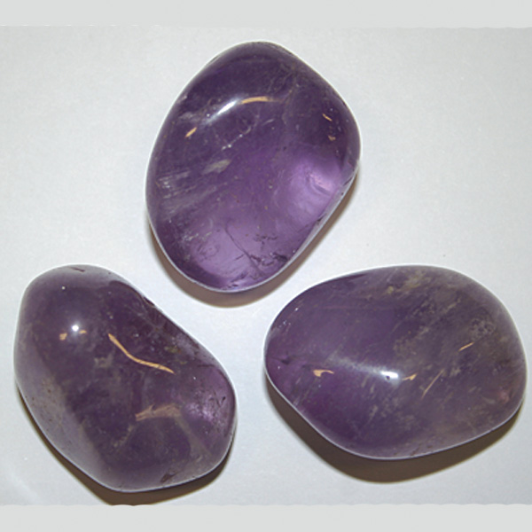 Regnbågsvävar Ametist - Amethyst Banded