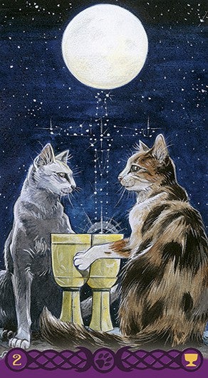 Lo Scarabeo Tarot Of Pagan Cats