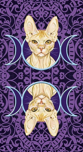 Lo Scarabeo Tarot Of Pagan Cats