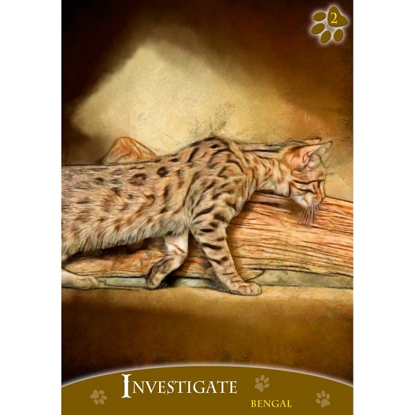 Lo Scarabeo Cats Inspirational Oracle Cards