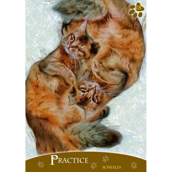 Lo Scarabeo Cats Inspirational Oracle Cards