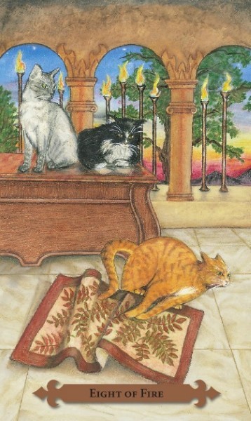 Llewellyn Mystical Cats Tarot, kit