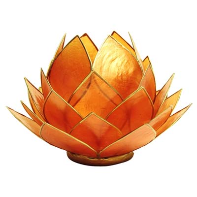 Regnbgsvvar Stor lotusblomma fr vrmeljus, orange