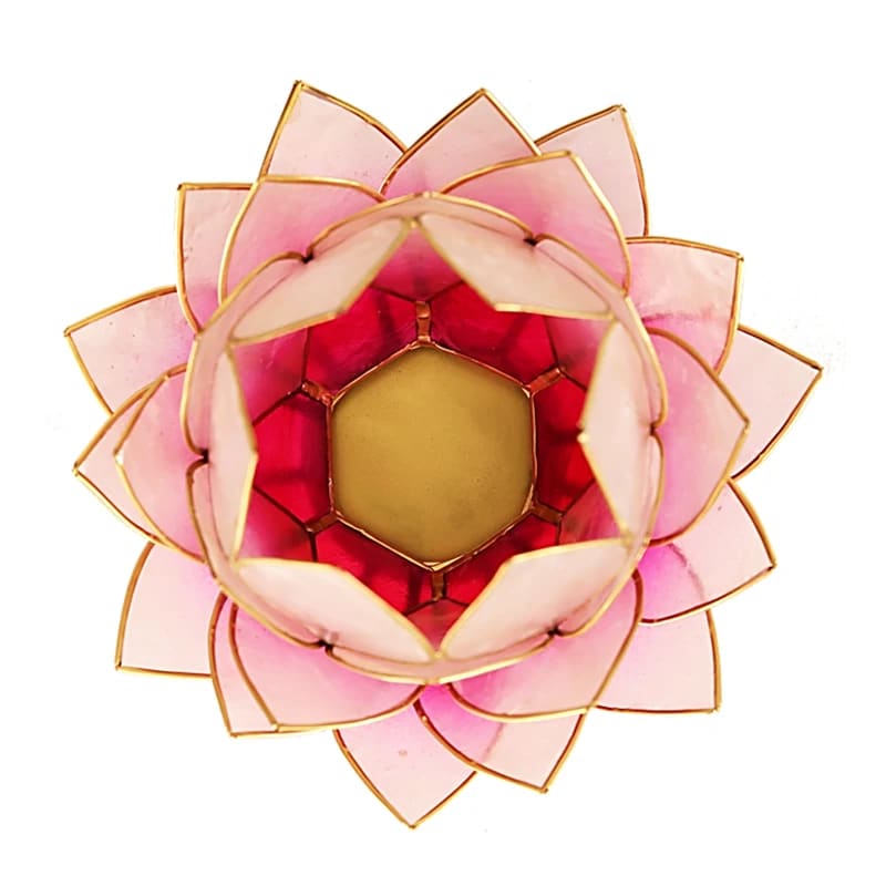 Regnbågsvävar Stor lotusblomma för värmeljus, rosa