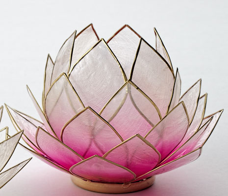 Regnbågsvävar Stor lotusblomma för värmeljus, rosa