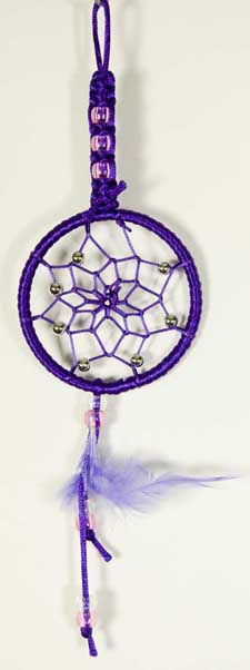 Cleo Dream Catcher Braided Purple