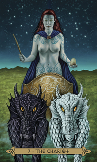 Llewellyn Celtic Tarot Set