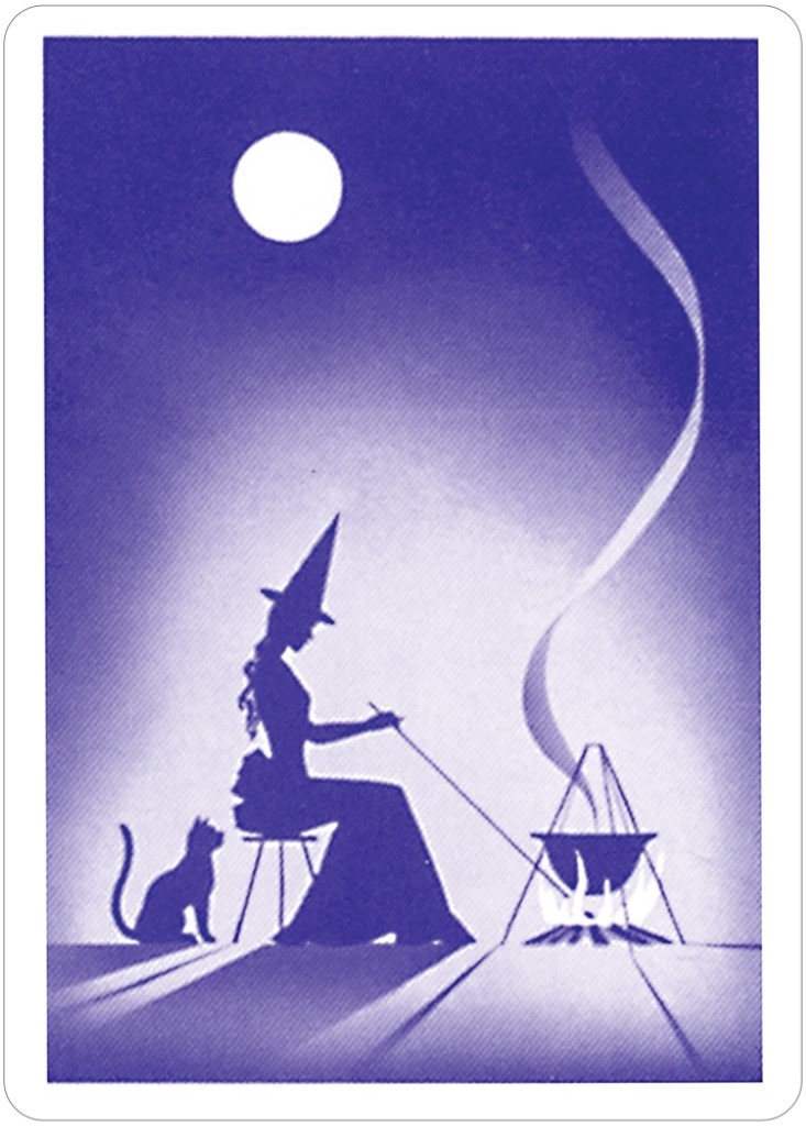 US Games Systems Gypsy Witch Fortune Telling Cards