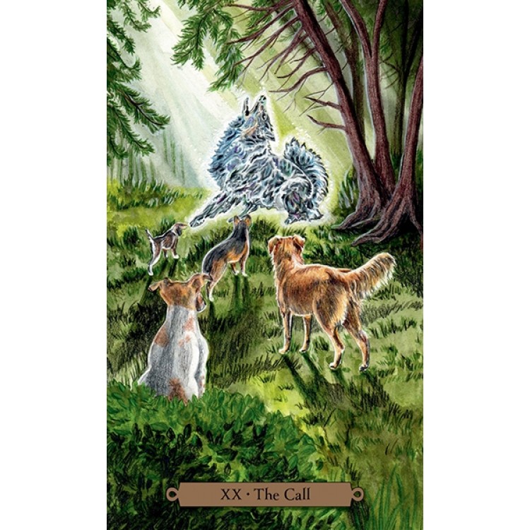 Llewellyn Magical Dogs Tarot