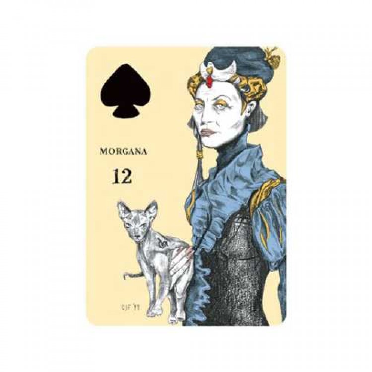 US Games Systems Playing card Oracle deck