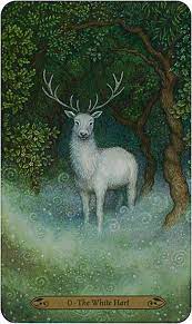 Llewellyn Forest of Enchantment Tarot