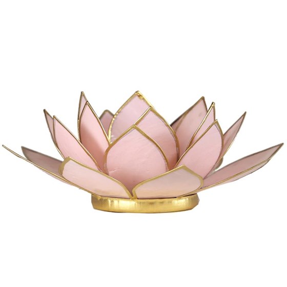 Regnbågsvävar Lotusblomma för värmeljus, ljusrosa
