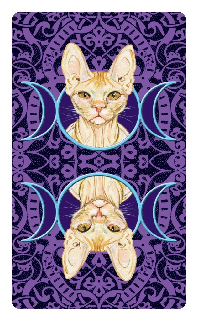 Lo Scarabeo Tarot Cards Pagan Cats, Mini