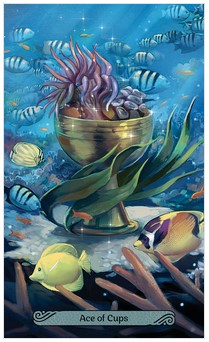 Llewellyn Mermaid Tarot
