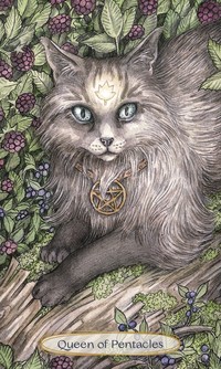 Llewellyn Soul Cats Tarot