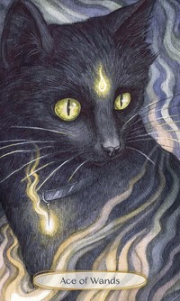 Llewellyn Soul Cats Tarot