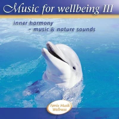 Fnix Music For Wellbeing 3