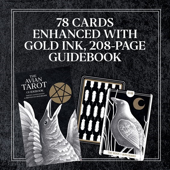 Stjrndistribution Avian Tarot