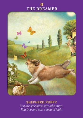 Hay House UK Ltd Animal Guides Tarot