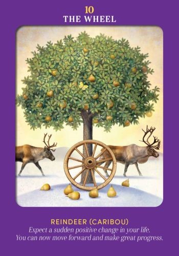 Hay House UK Ltd Animal Guides Tarot