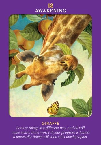 Hay House UK Ltd Animal Guides Tarot